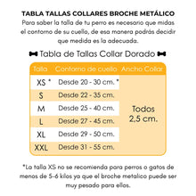 Cargar imagen en el visor de la galería, Collar broche velvet rojo