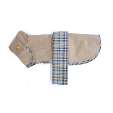 Cargar imagen en el visor de la galería, Capa Dachshund cotelé beige
