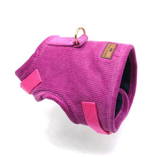 Cargar imagen en el visor de la galería, Arnés cotelé azul magenta - Perros Unidos
