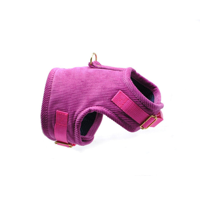 Arnés cotelé azul magenta - Perros Unidos