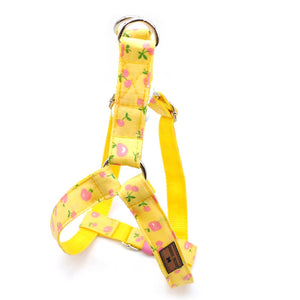 Arnés perro cinta amarillo manzanas - Perros Unidos