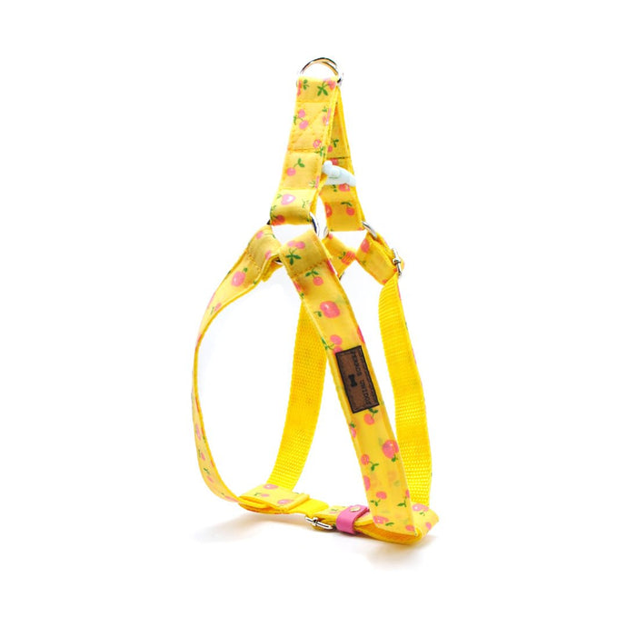 Arnés perro cinta amarillo manzanas - Perros Unidos