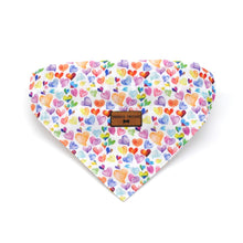 Cargar imagen en el visor de la galería, Bandana perro corazones multicolor - Perros Unidos