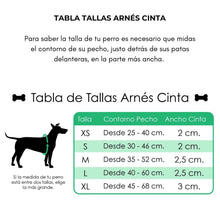 Cargar imagen en el visor de la galería, Collar + arnés + correa azul vela - Perros Unidos