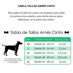 Collar + arnés + correa azul vela - Perros Unidos