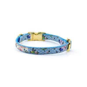 Collar broche dorado gato celeste & dorado - Perros Unidos