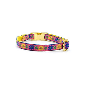 Collar broche dorado gato rosa flor azul - Perros Unidos