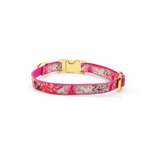 Cargar imagen en el visor de la galería, Collar broche dorado gato rosa fuerte &amp; dorado - Perros Unidos