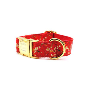 Collar broche rojo japonés - Perros Unidos