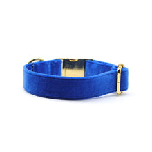 Cargar imagen en el visor de la galería, Collar broche velvet azul Francia - Perros Unidos