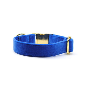 Collar broche velvet azul Francia - Perros Unidos