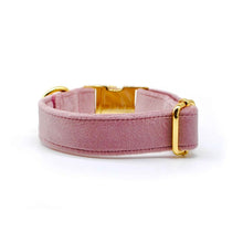 Cargar imagen en el visor de la galería, Collar broche velvet palo rosa claro - Perros Unidos