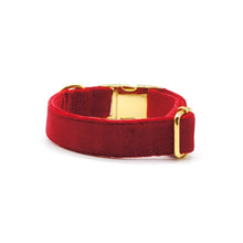 Cargar imagen en el visor de la galería, Collar broche velvet rojo - Perros Unidos