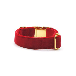 Collar broche velvet rojo - Perros Unidos