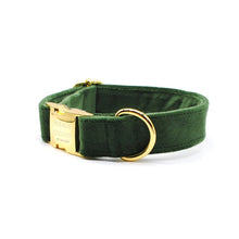 Cargar imagen en el visor de la galería, Collar broche velvet verde pino - Perros Unidos