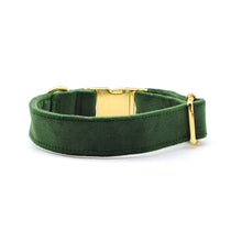 Cargar imagen en el visor de la galería, Collar broche velvet verde pino - Perros Unidos