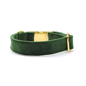 Collar broche velvet verde pino - Perros Unidos