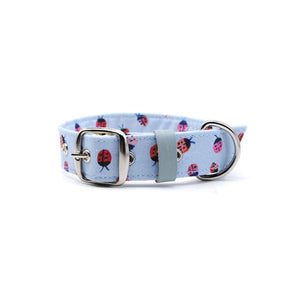 Collar celeste chinitas - Perros Unidos