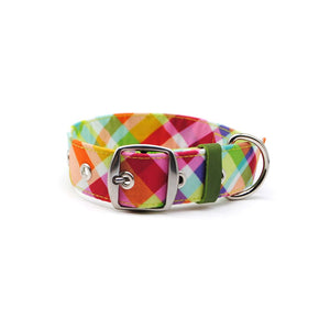 Collar cuadrillé sesgado verde - Perros Unidos