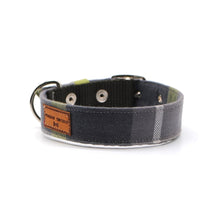 Cargar imagen en el visor de la galería, Collar escocés gris &amp; verde - Perros Unidos