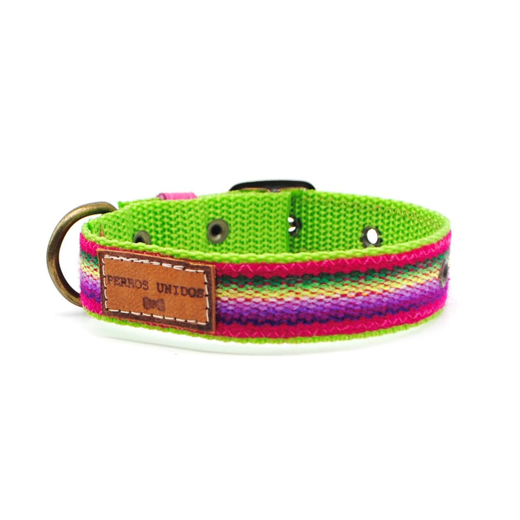 Collar gato étnico verde & morado - Perros Unidos