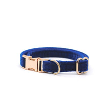 Cargar imagen en el visor de la galería, Collar gato velvet azul - Perros Unidos