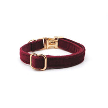 Cargar imagen en el visor de la galería, Collar gato velvet burdeo - Perros Unidos