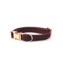 Cargar imagen en el visor de la galería, Collar gato velvet burdeo - Perros Unidos