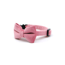 Cargar imagen en el visor de la galería, Collar gato velvet palo rosa - Perros Unidos