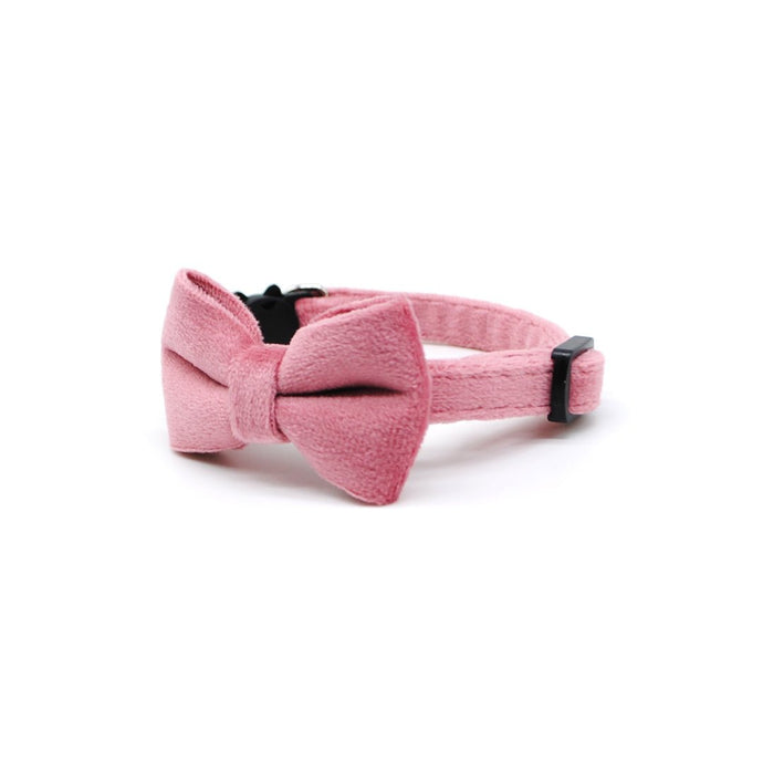 Collar gato velvet palo rosa - Perros Unidos