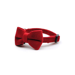 Collar gato velvet rojo - Perros Unidos