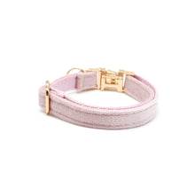 Cargar imagen en el visor de la galería, Collar gato velvet rosa pálido - Perros Unidos