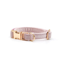 Cargar imagen en el visor de la galería, Collar gato velvet rosa pálido - Perros Unidos