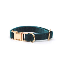 Cargar imagen en el visor de la galería, Collar gato velvet verde - Perros Unidos