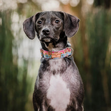 Cargar imagen en el visor de la galería, Collar olas celeste &amp; dorado - Perros Unidos