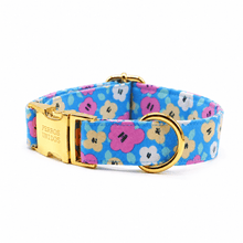 Cargar imagen en el visor de la galería, Collar perro broche calipso flores - Perros Unidos