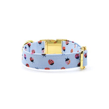 Cargar imagen en el visor de la galería, Collar perro broche celeste chinitas - Perros Unidos