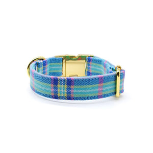 Collar perro broche escocés calipso - Perros Unidos