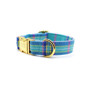 Collar perro broche escocés calipso - Perros Unidos