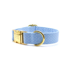 Cargar imagen en el visor de la galería, Collar perro broche puntos celeste - Perros Unidos