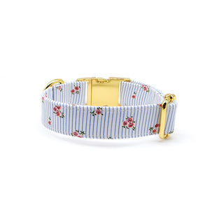 Collar perro broche rayas celeste flores - Perros Unidos