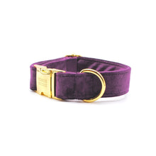 Cargar imagen en el visor de la galería, Collar perro broche velvet morado - Perros Unidos