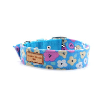 Cargar imagen en el visor de la galería, Collar perro calipso flores - Perros Unidos