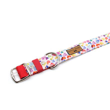 Cargar imagen en el visor de la galería, Collar perro corazones multicolor - Perros Unidos