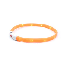 Cargar imagen en el visor de la galería, Collar perro luz led naranjo - Perros Unidos