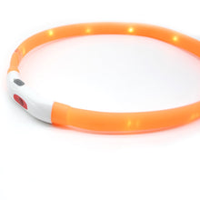 Cargar imagen en el visor de la galería, Collar perro luz led naranjo - Perros Unidos