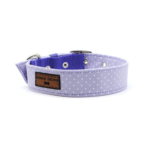 Collar puntos lila - Perros Unidos