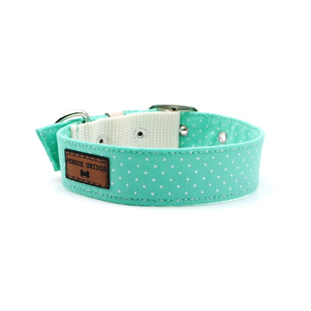 Collar puntos verde agua - Perros Unidos