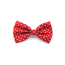 Cargar imagen en el visor de la galería, Humita puntos rojo - Perros Unidos