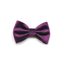 Cargar imagen en el visor de la galería, Humita velvet morado - Perros Unidos